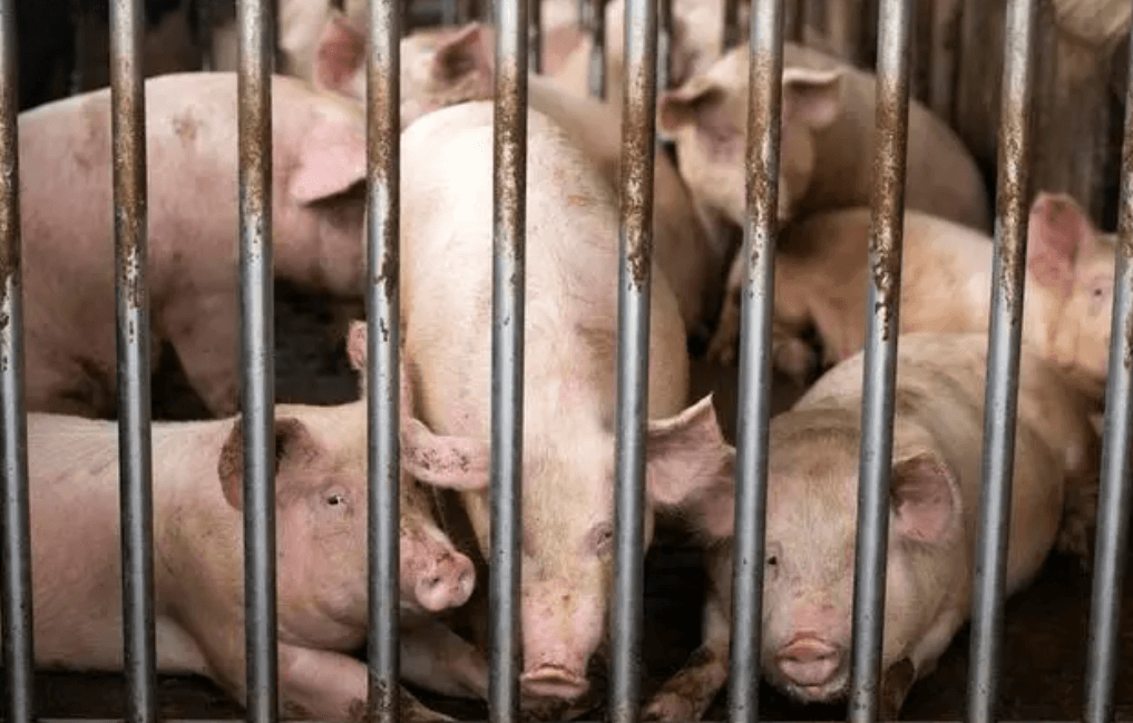 6a7570add80cf45b0dd62a583cb1b57006463e41